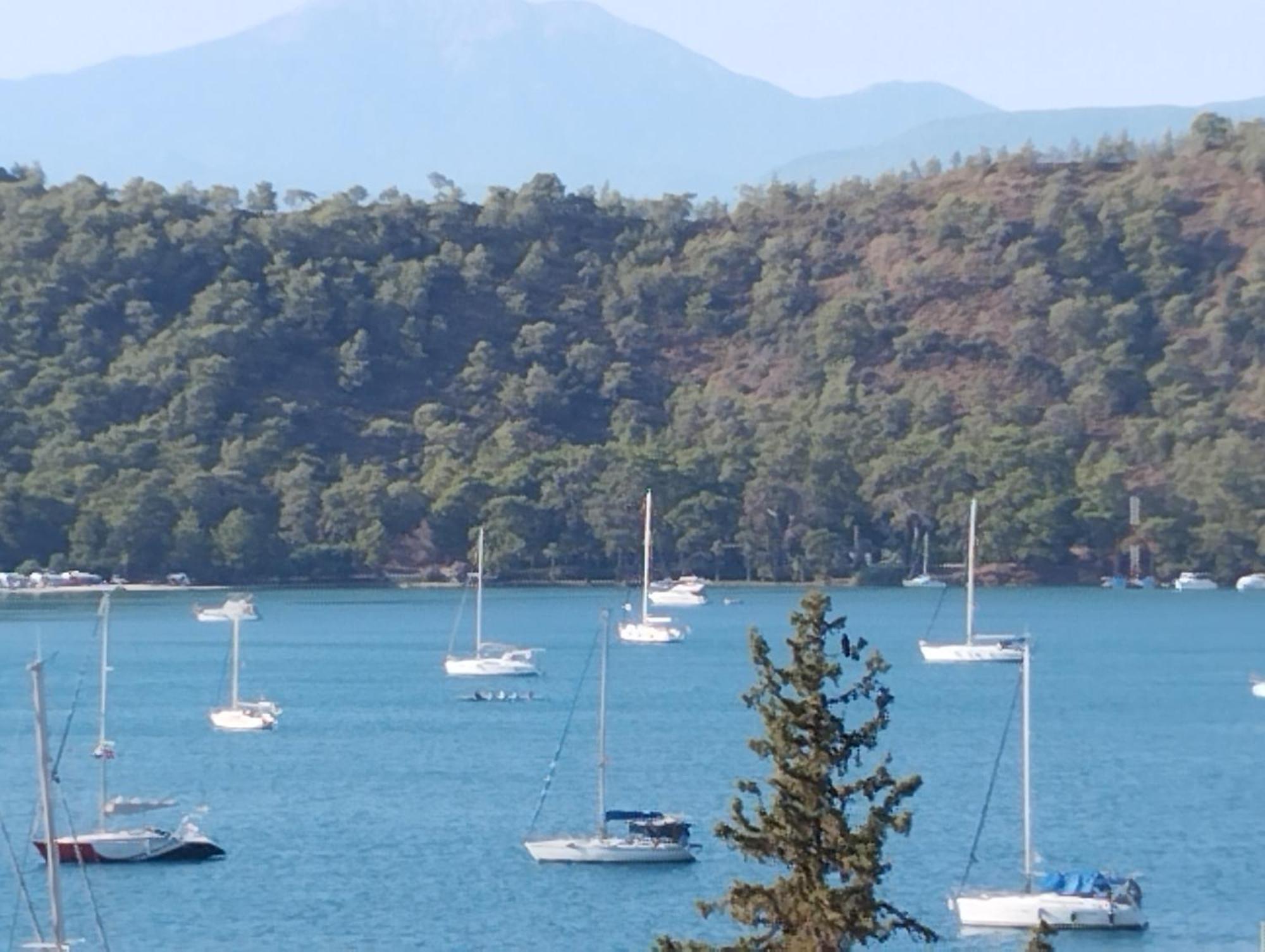 Duygu Apart Spellbinding Sea Views フェティエ 部屋 写真